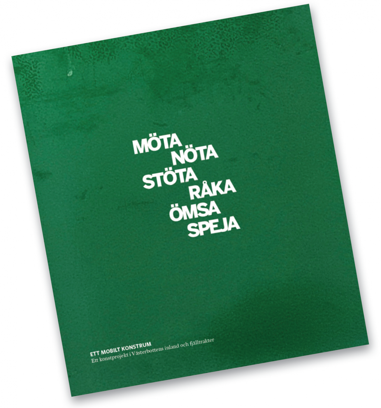 POESIWORKSHOP, SAMTAL OCH BOKSLÄPP-Storuman